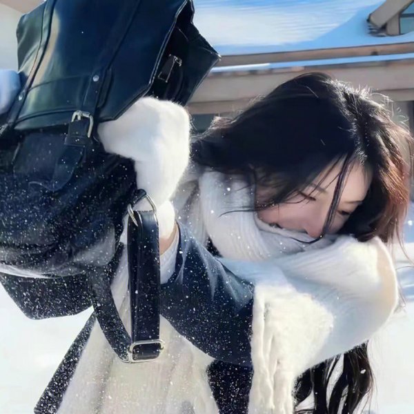 白昼借书证·重逢海报