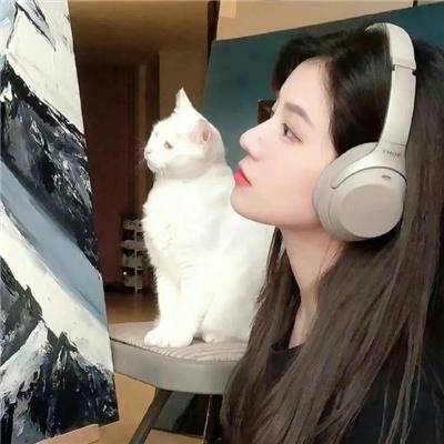 白昼算法纪海报